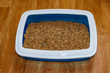 Cat's litter box with filler on a floor