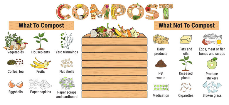 Infographic of garden composting bin with scraps. What to or not to compost. No food wasted. Recycling organic waste, compost. Sustainable living, zero waste concept