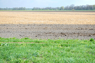 Cultivated field showing different stripes