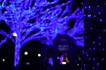 Christmas lights, Blue Cave Shibuya