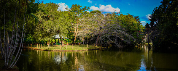 botanic garden of pamplemousse on mauritius