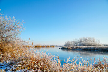 The blue sky over the ice of the winter small river. Bushes, reeds and trees covered with frost. Fabulous