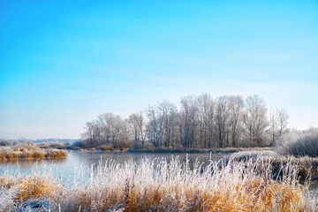 Foto auf Leinwand Panorama Lake, winter forest and dry grass in the frost. Blu sky over the forest © pro2audio