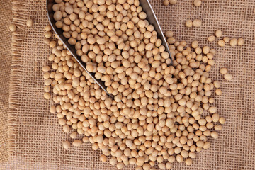 Soya bean in metal scoop on jute yarn fabric background