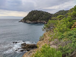 coast of the island
