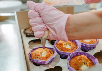 Female confectioner making cupcakes wearing pink gloves