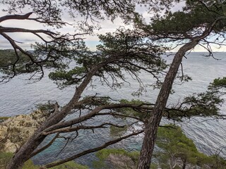 Presqu'île de Giens aux abords de l'île de  Porquerolles sur la côte d'azur proche de Hyères et Toulon, mer méditérannée avec des vague de printemps, pain et fougère verdoyante, calanque crique, var