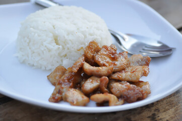 fried pork or stir fried pork and rice