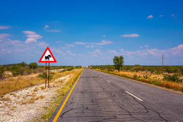 Warthogs crossing warning road sign placed along a road in Namibia