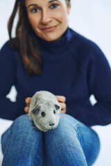 Brunette happy woman holding a grey guinea pig sitting on her knees looking at the camera