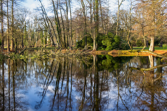 View of a very beautiful pond landscape in a park, in Altmark, Saxony-Anhalt.