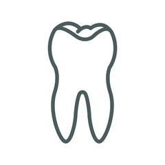 Tooth cross section icon
