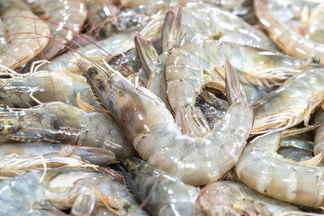 shrimps for sale on market