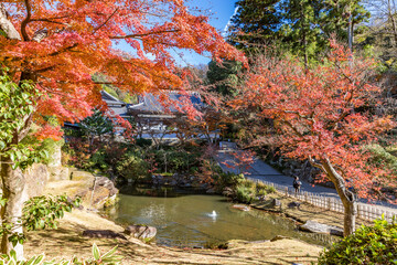 鎌倉　円覚寺　円覚寺庭園（名勝）の紅葉
