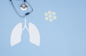 the symbol of the human lungs, a stethoscope and paper daisies on a blue background. The concept of healthy lungs, world day of fight against tuberculosis chamomile