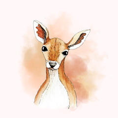 Watercolour deer