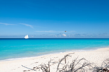 Panoramic view of a deserted Caribbean wild beach with sailboat sailing in the tropical sea. An ideal place for vacation, Cancun, Mexico