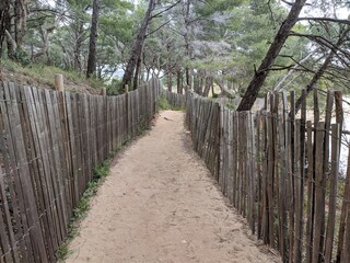 Sentier du littoral, bord de mer méditerranée à hyères french rivera, rocher et vague...