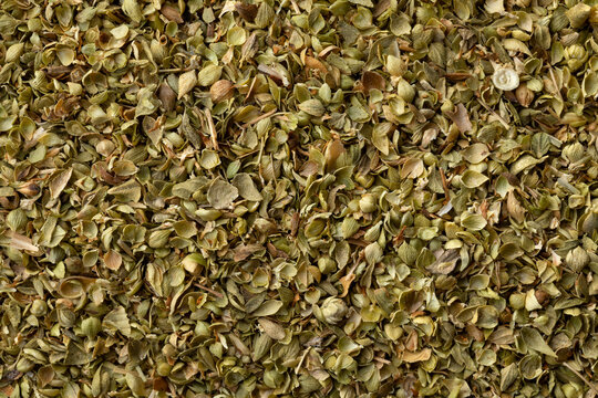 Dried Za&rsquo;atar full frame
