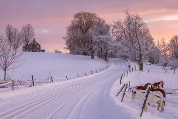 Vermont winter farm scene with horses