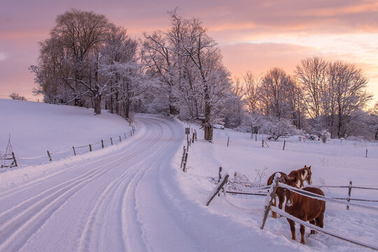 Vermont winter scene with horses