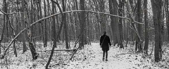 person walking in snowy forest with bent tree