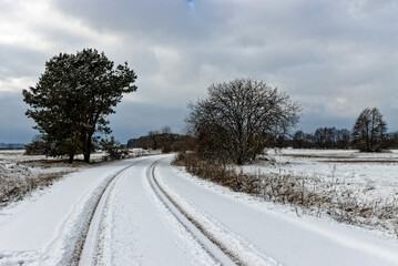 Road in countryside between farmlands with tire track in snow. Winter landscape of wetland meadows Natura 2000 area.