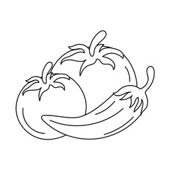 Tomatoes and chilies Thin line vector illustration. isolated with hand drawn style 