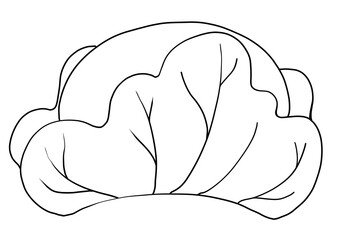 柏餅のイラストの線画