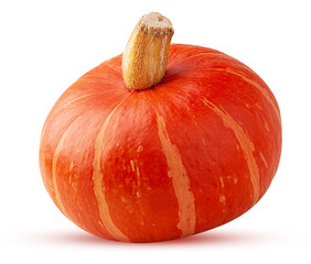 Fresh red hokkaido pumpkin
