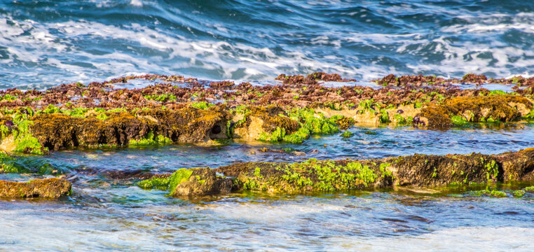 Hookipa Seascape