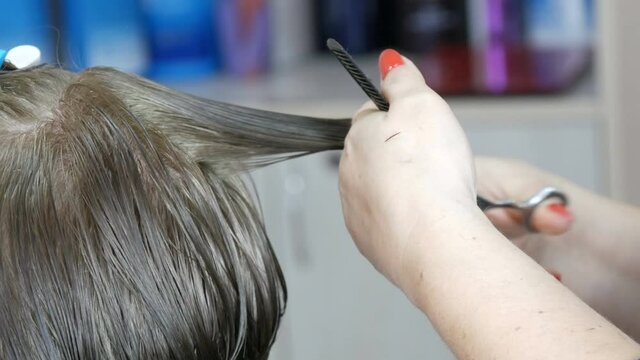 The female hands of a hairdresser make a short bob cut on gray hair and cut the ends of the client.
