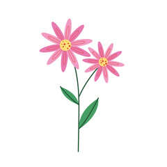 pink petals flowers nature icon