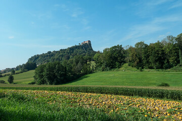 Riegersburg castle in Austria towering above the area. There are pumpkins ripening on the field in front. Clear blue sky above the castle. The massive fortress was build on the rock. Middle ages