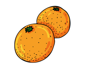 Bright orange oranges are a traditional part of the Chinese New Year celebration. Vector illustration