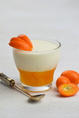 Italian dessert panna cotta with mandarin jelly  decorated with slice of fruits on white background.