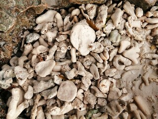 a bunch of different white stones of different shapes for background