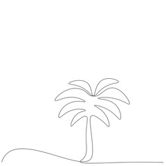 Fototapeta na wymiar Palm tree drawi on white background, vector illustration