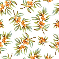 Vector seamless pattern with sea buckthorn berries - 411902028