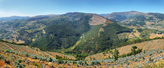 Amazing views of terraced fields and river near Resende, Portugal
