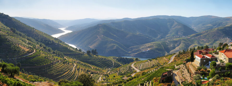 Amazing views of Douro vineyards and river from Valença do Douro, Portugal