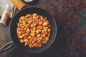 Chicken fillet cut into small pieces for frying in pan