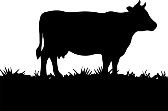 cow vector illustration isolated on background