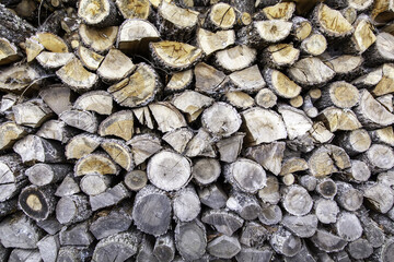 Wood logs firewood