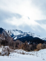 snow covered mountains