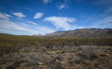 Beautiful and serene Landscape