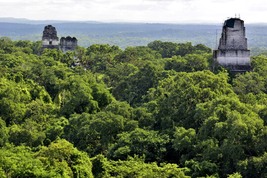 Paisajes y rincones de la ciudad arqueol&oacute;gica maya de Tikal, situada en la regi&oacute;n de Pet&eacute;n, en el norte de Guatemala