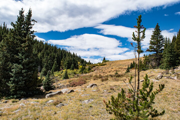 Buffalo Peaks Wilderness Area, CO
