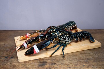 Fresh caught  lobster on  wooden board 