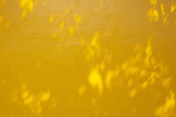 Yellow wall texture with leaves shadow background
